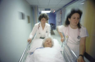 Scott Bauer/US Department of Agriculture Scott Bauer/US Department of Agriculture